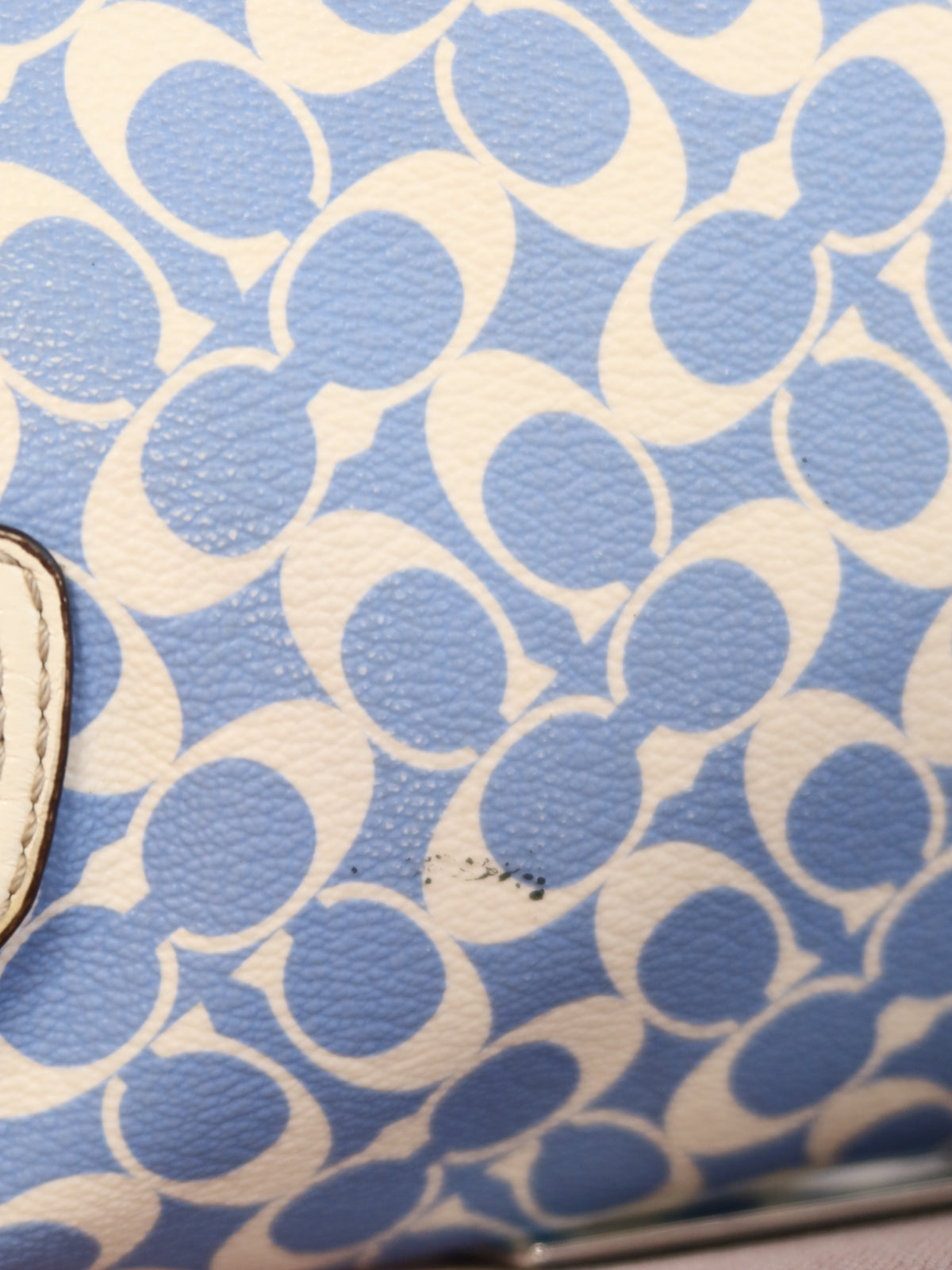 Coach Blue Signature Stripe Hobo Bag