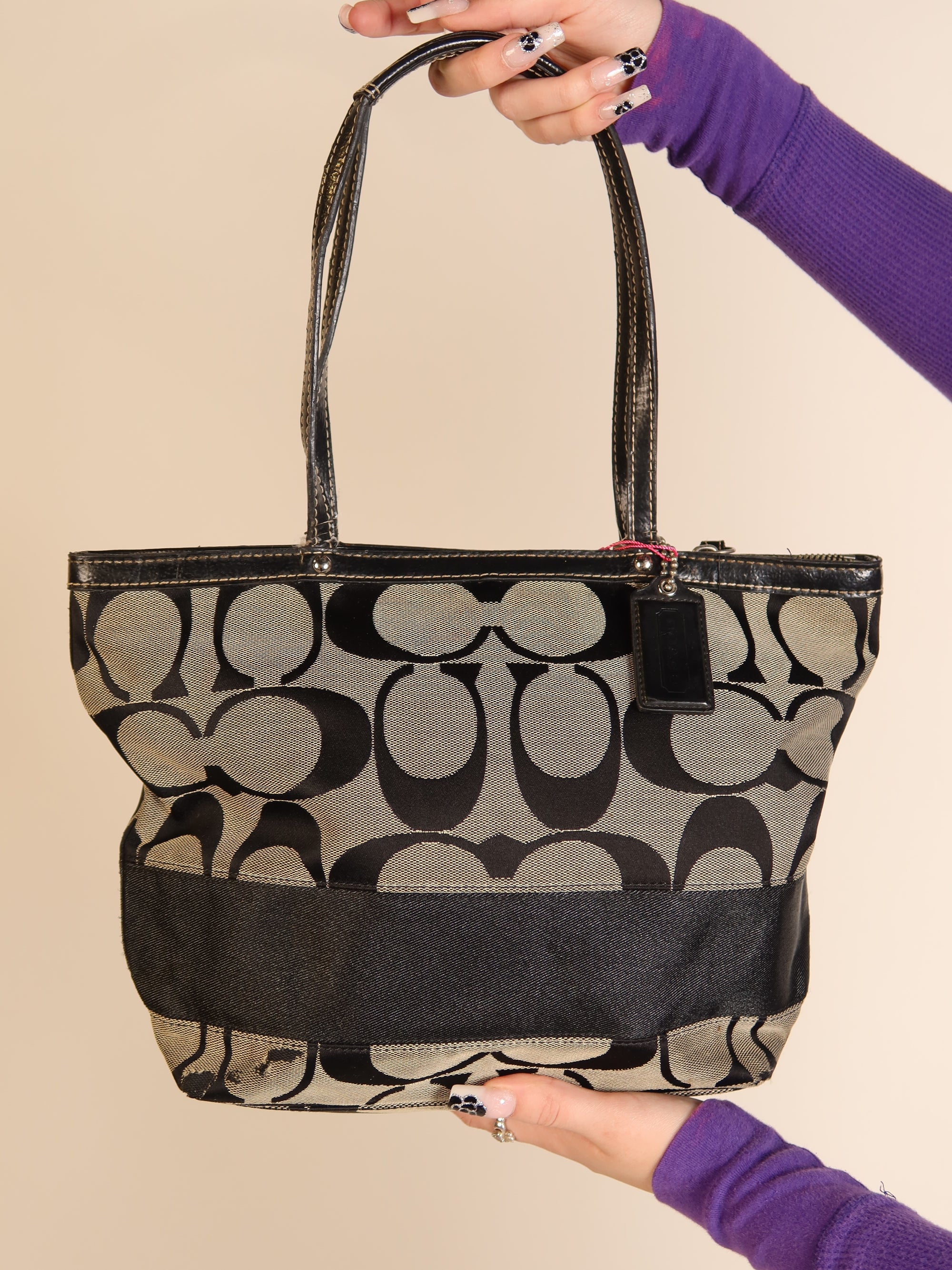 Coach Signature Mini Tote
