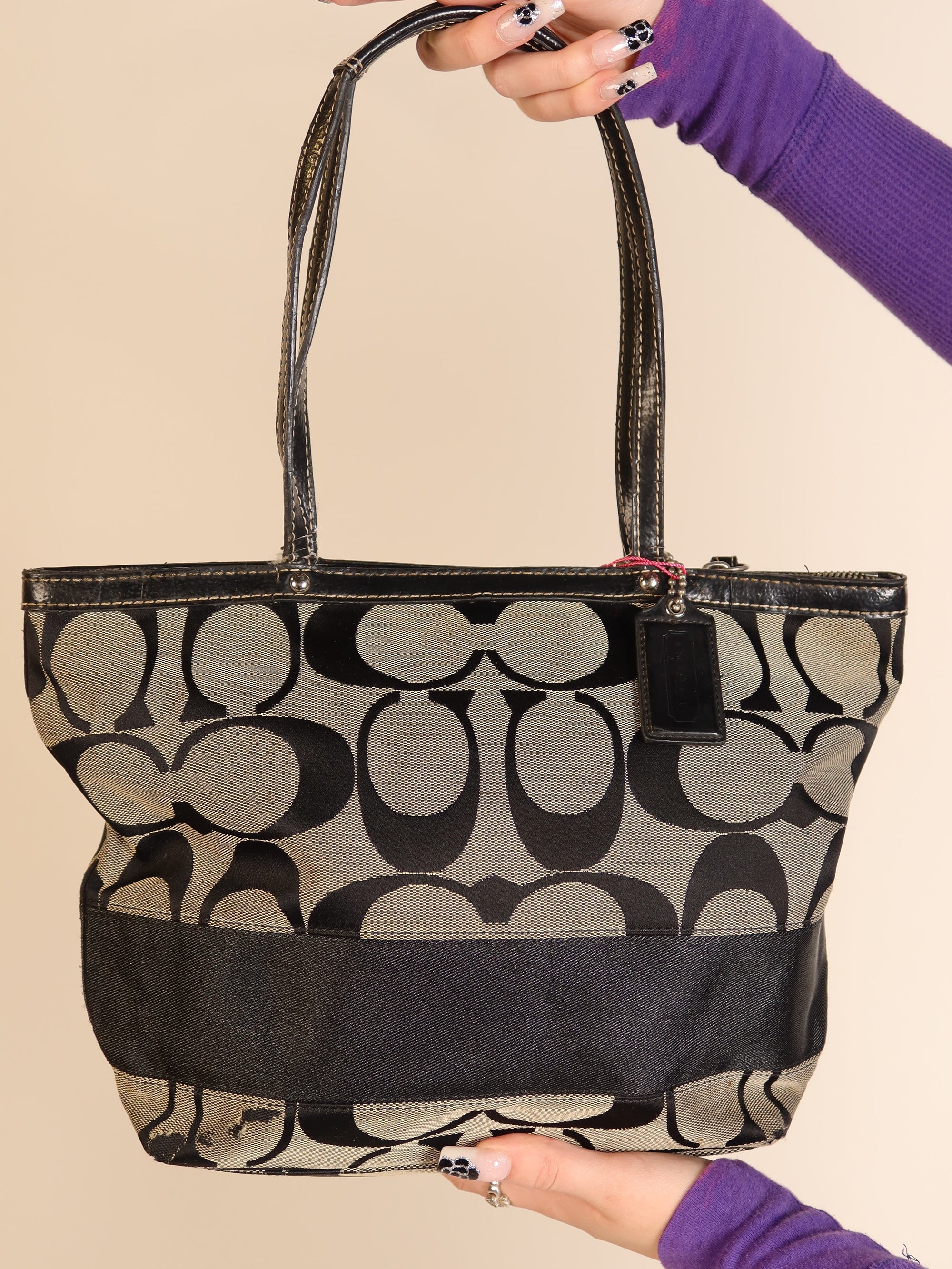 Coach Signature Mini Tote