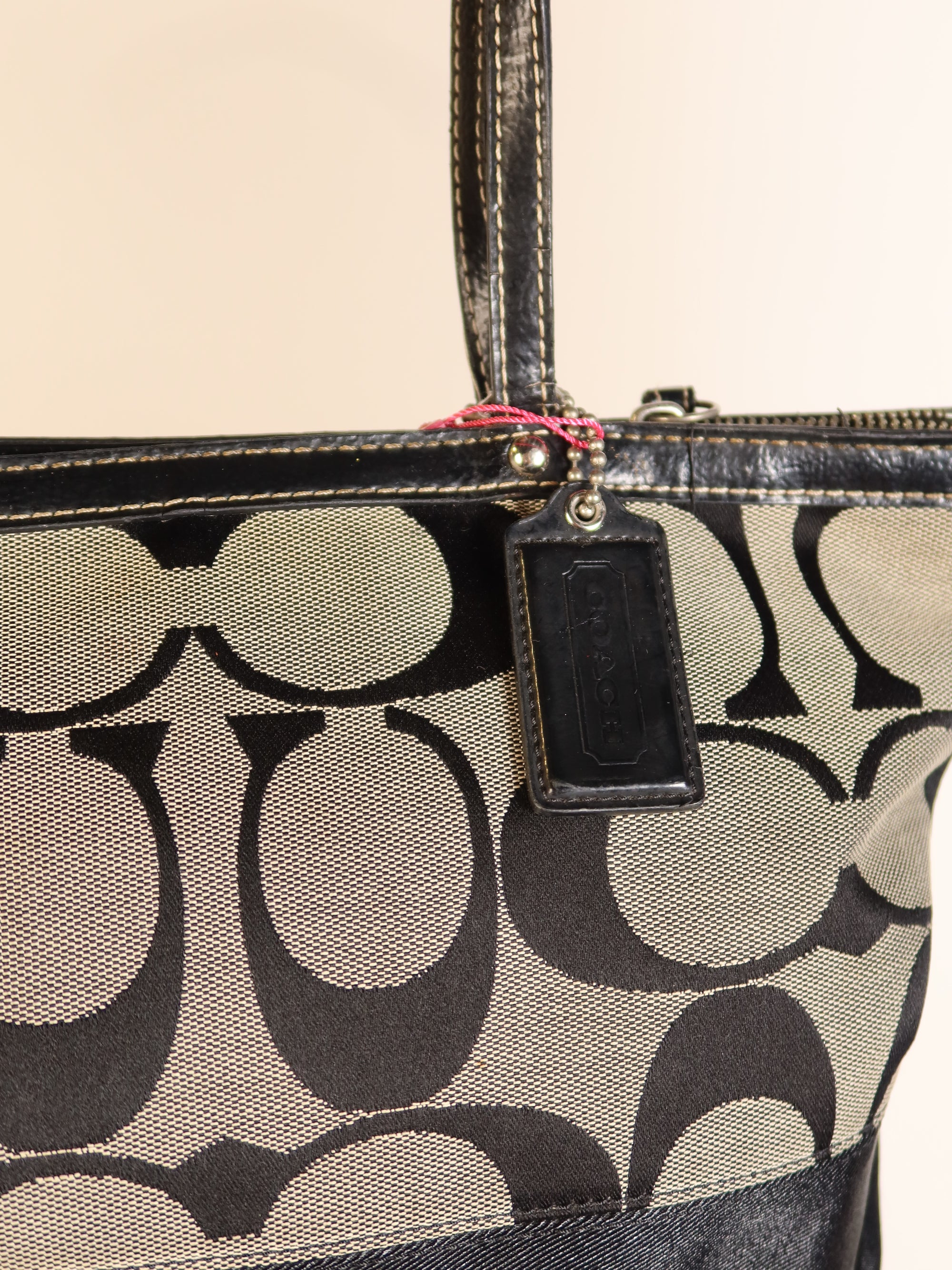 Coach Signature Mini Tote